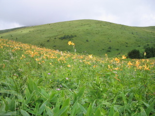 霧ヶ峰２００３ 0000.jpg