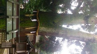 大神神社8.JPG