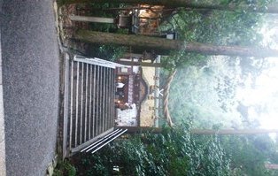 大神神社6.JPG